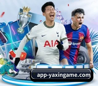 亚新体育 APP 界面